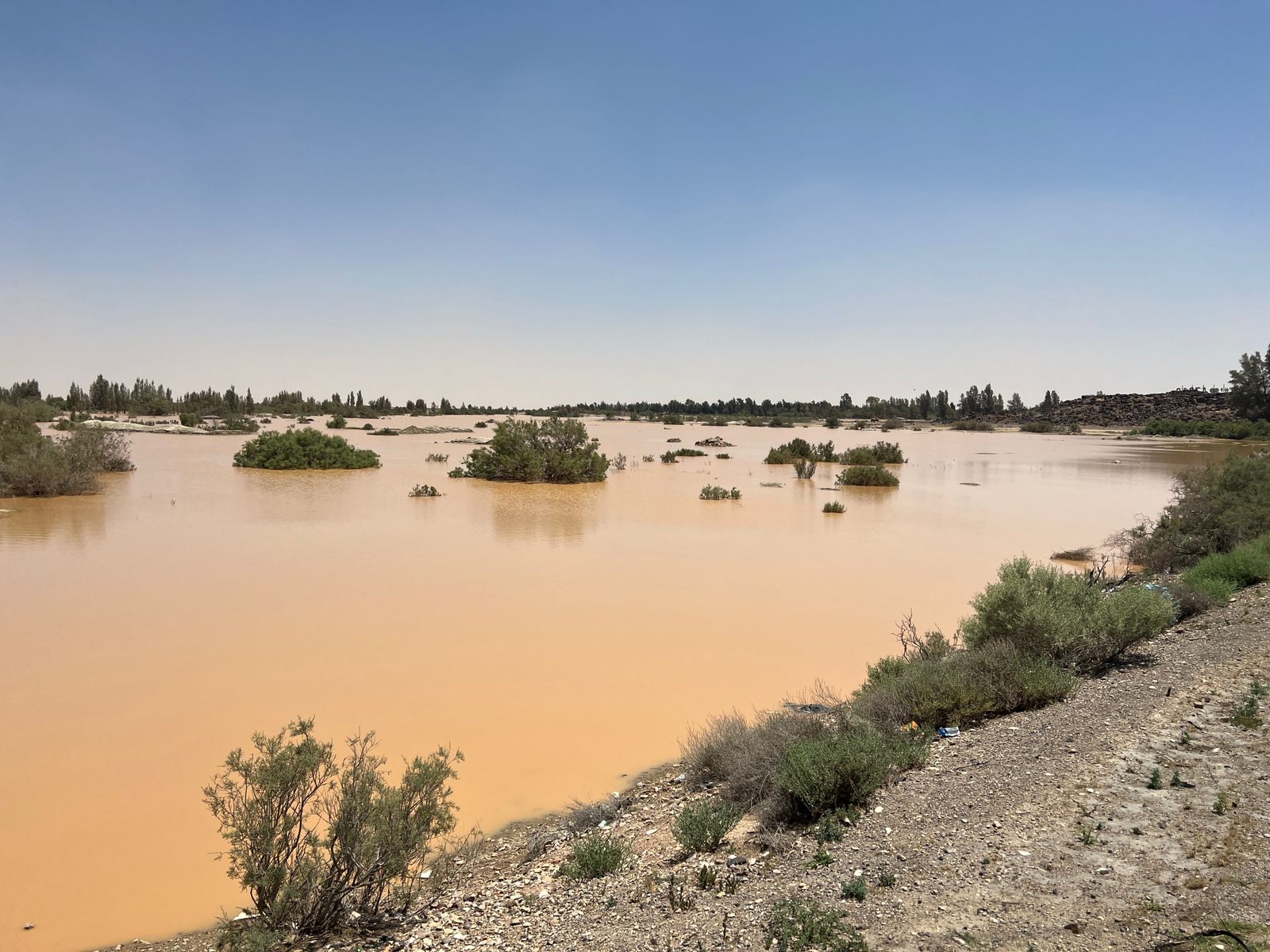 مركز وسم الإقليمي| الأمطار الصيفية المتتابعة وواسعة النطاق غير مسبوقة في السجلات المناخية الحديثة على الأردن