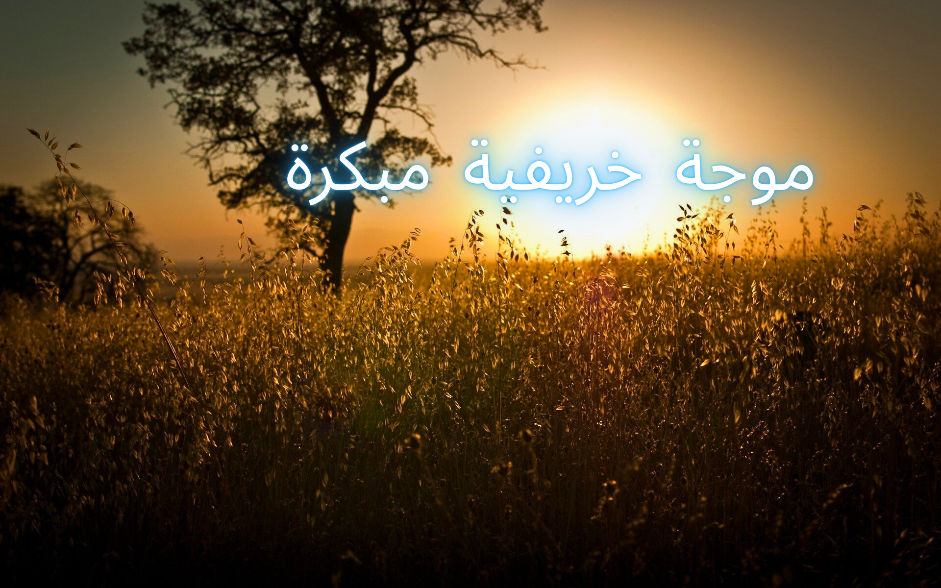 الأردن| أجواء معتدلة الأيام المقبلة وموجة خريفية مبكرة تبدأ الأسبوع المقبل