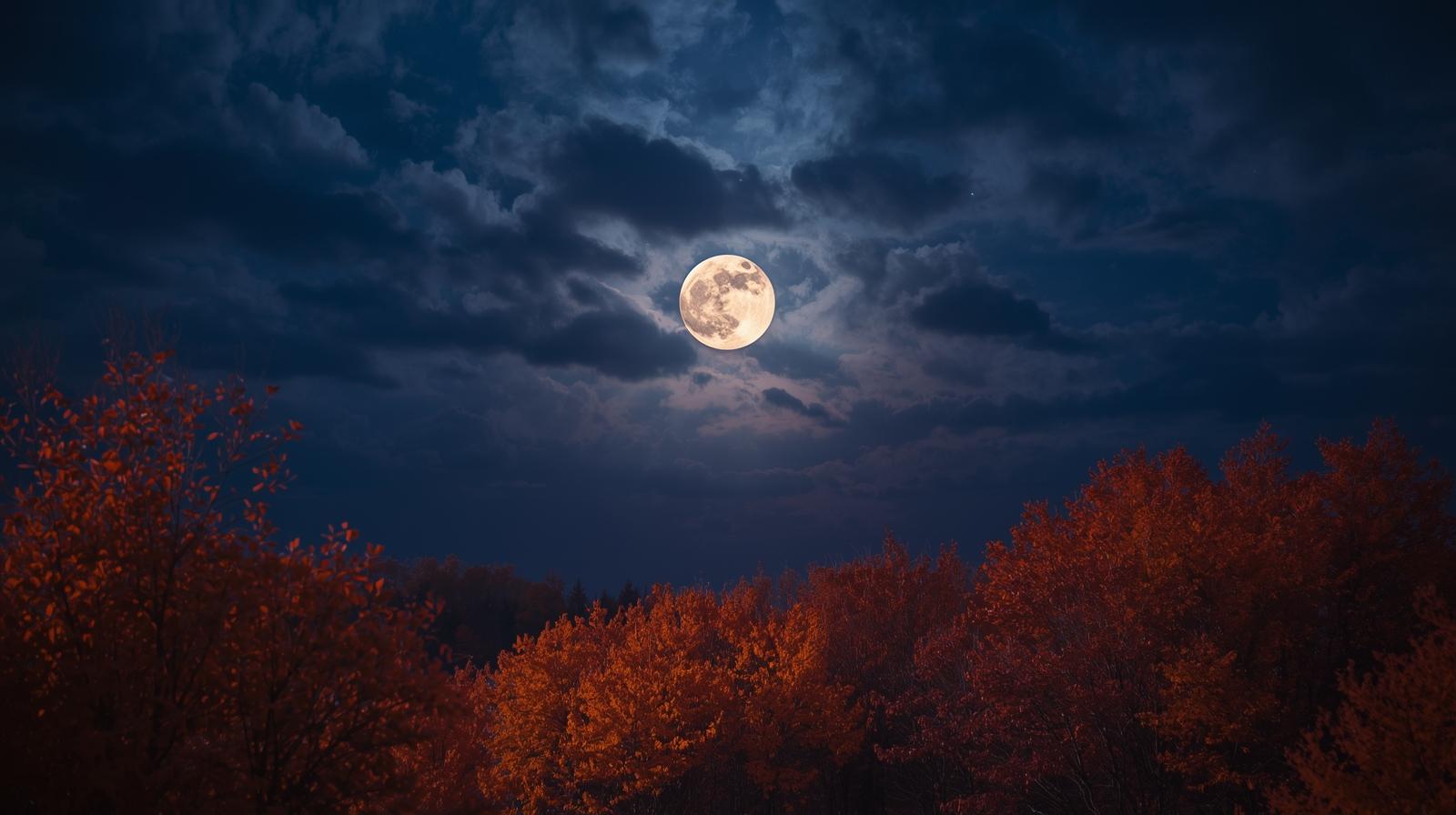 الأردن| أجواء خريفية معتدلة وليالي خريفية باردة في الجبال.. وتقلبات خريفية الأسبوع المقبل