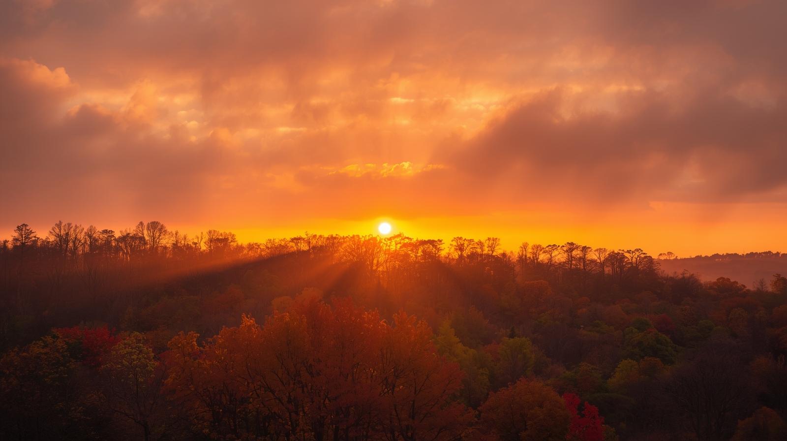 الأردن|موجة خريفية جديدة تبدأ مساء الإثنين وليالي باردة منتنصف ونهاية الأسبوع