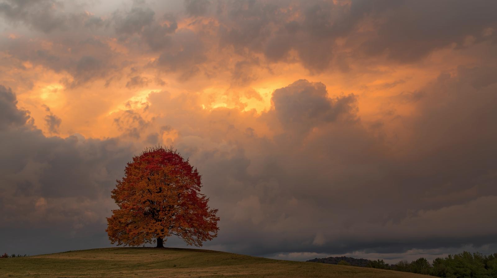 الأردن| الاضطرابات الجوية تبدأ الأسبوع المقبل وتشتد بعد منتصف الشهر .. النشرة النصف شهرية